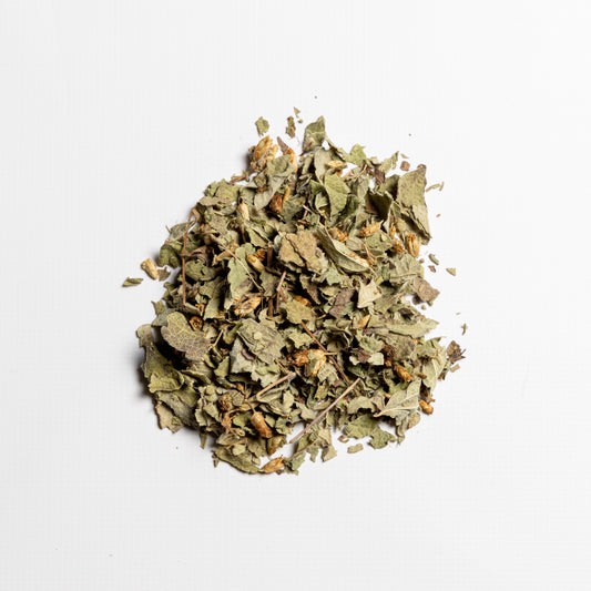 Dream Herb // Calea zacatechichi